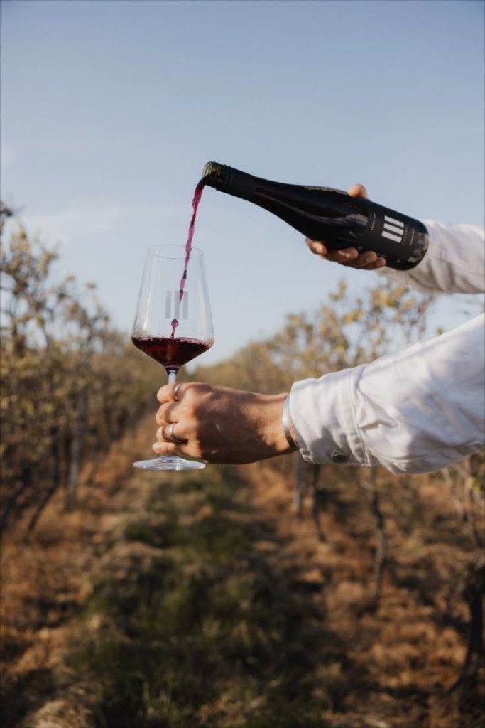 Autour du vin