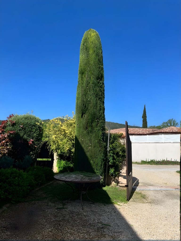 CINI PAYSAGE