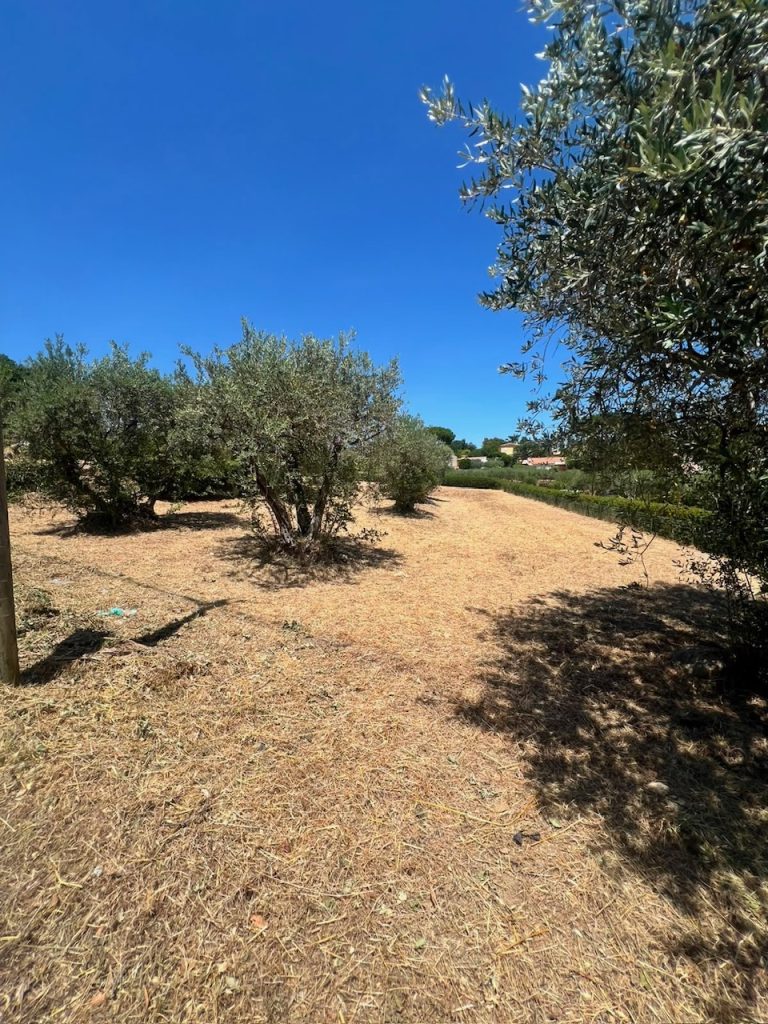 CINI PAYSAGE